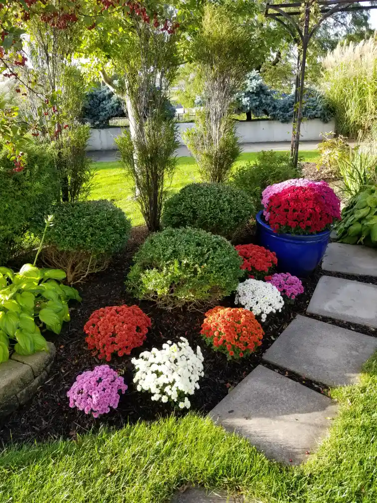 commercial landscaping and property care Cleveland, Ohio
